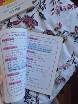 4 libros chino mandarín:vocab/gramática/ejercicios