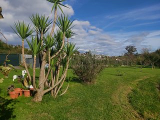 Alquiler Finca rústica