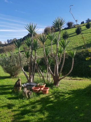 Alquiler Finca rústica