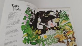 Cuento de 1988 Brujas