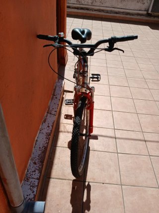 Bicicleta da montagna TOP