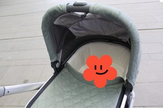 Capazo UPPAbaby Cruz Verde