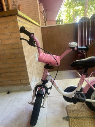 Bici niña rosa con ruedines