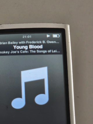 Apple iPod Nano 5ª Gen A1320 Plata