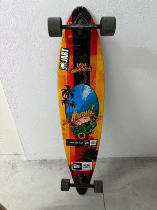 Longboard Marmot Pintail