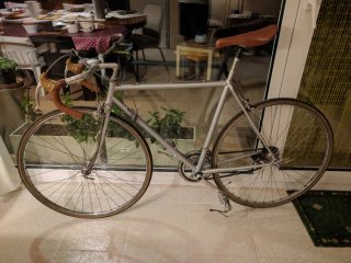Bicicleta clásica carretera Corbetta Sillín Brooks