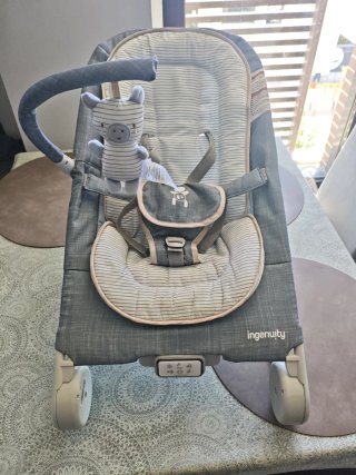 Hamaca para bebé Ingenuity