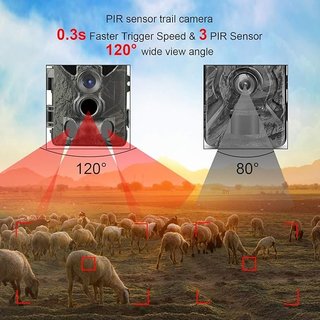 Cámara de Caza 20MP Sensor movimiento · Nuevo