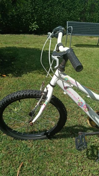 Bicicleta Montaña Rueda 20