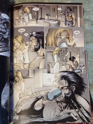 Lote cómics Lobezno de Greg Rucka