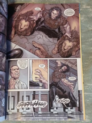 Lote cómics Lobezno de Greg Rucka