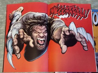 Lote cómics Lobezno de Greg Rucka