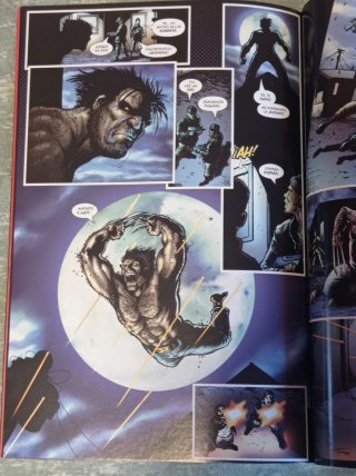 Lote cómics Lobezno de Greg Rucka