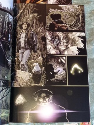Lote cómics Lobezno de Greg Rucka