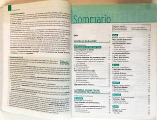 Nuovo Narrami o musa. Antologia di epica classi...