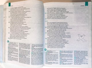 Nuovo Narrami o musa. Antologia di epica classi...