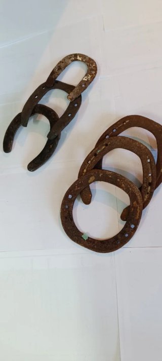 Lote de herraduras hierro antiguas percheron