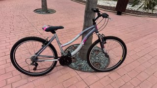 Bicicleta de Montaña Aluminio