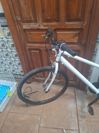 Bicicleta bianca