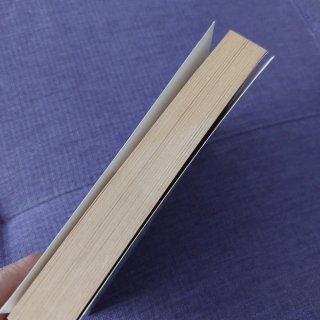 Libro La saga di Gilead