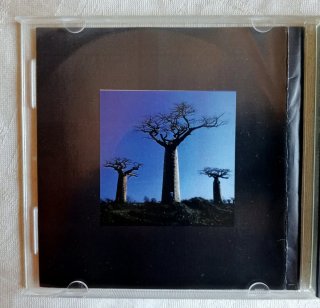 Pink Floyd Delicate Sound Of Thunder Doble CD