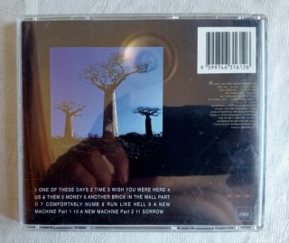 Pink Floyd Delicate Sound Of Thunder Doble CD