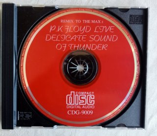 Pink Floyd Delicate Sound Of Thunder Doble CD