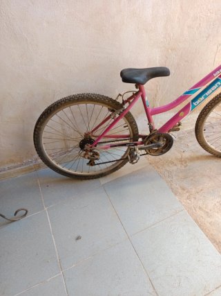 Bicicleta de Montaña Rosa