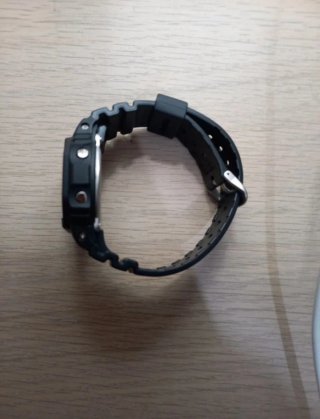 Casio G-Shock DW-5600BB