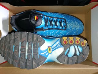 Nike TN Azules y Blancas Fake