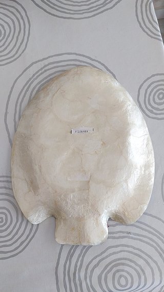 2 piatti Collezione Island Fish Natural Kappa Shell