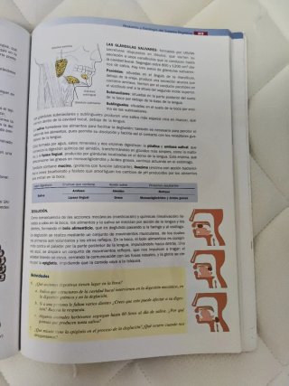 Anatomía aplicada