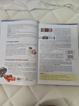 Anatomía aplicada
