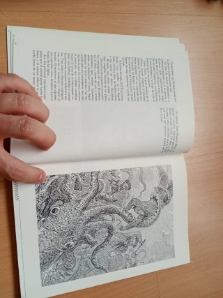 Libro Animales Fantásticos Enric Crespo i Mas