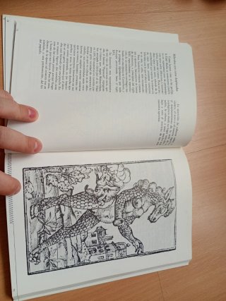 Libro Animales Fantásticos Enric Crespo i Mas