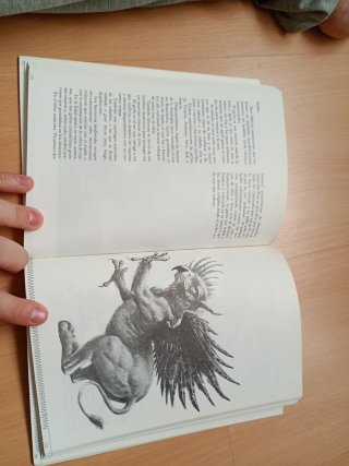 Libro Animales Fantásticos Enric Crespo i Mas