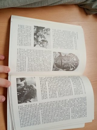 Libro Animales Fantásticos Enric Crespo i Mas