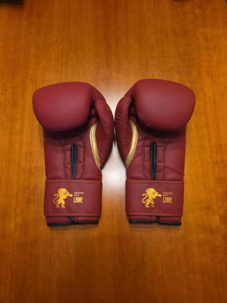 Guantes de boxeo Leone 1947