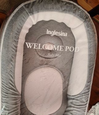 Nido Bebé Inglesina Gris Comprado en Marzo