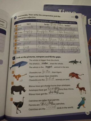 Libros Inglés 5 Primaria