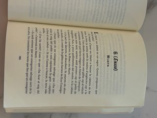 Un estiu a Borneo