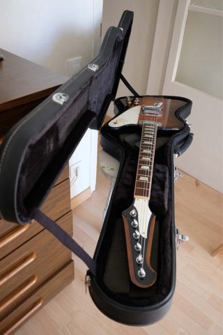 Gibson Firebird 2016 + custom hardcase