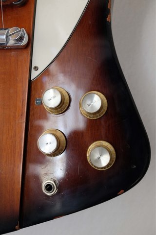 Gibson Firebird 2016 + custom hardcase