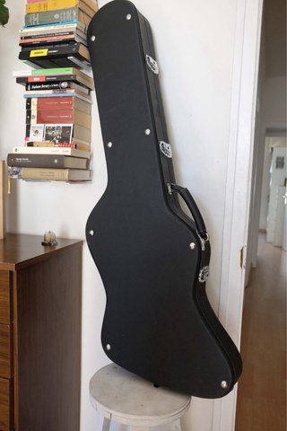 Gibson Firebird 2016 + custom hardcase