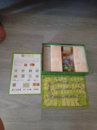 Carcassonne Cacciatori e Raccoglitori