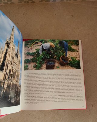 Historia de España (Lote de 7 tomos de 10)