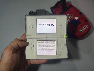 Nintendo DS Lite + Cargador + Protector + Funda