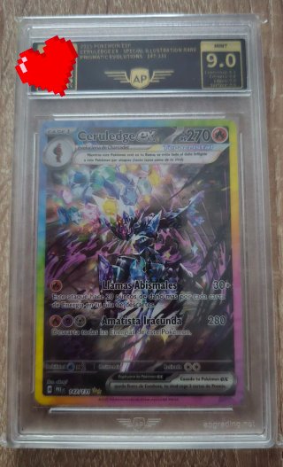 Mystery Slab Pokémon Cartas Gradedas