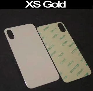 Vetro posteriore Gold per iPhone XS + Custodia
