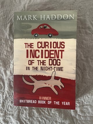 The Curious Incident of the Dog in the Night-time